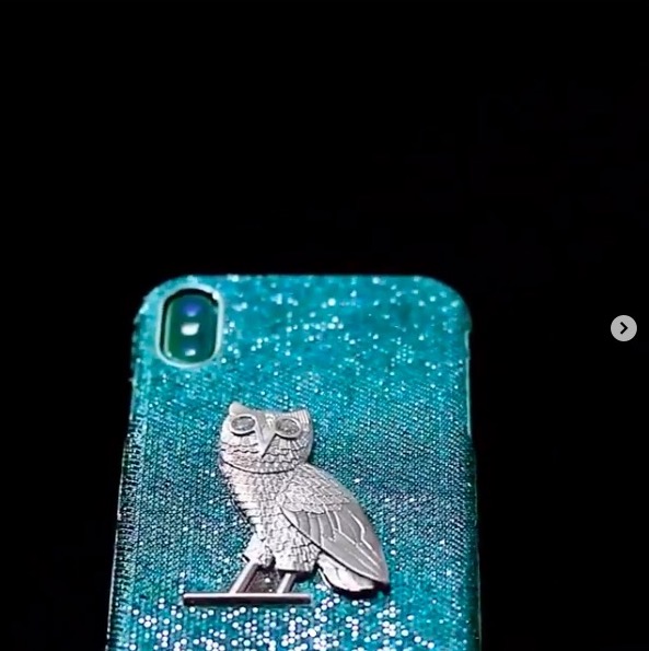 glitter phone case owl design