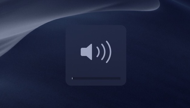 volume control icon low