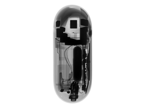 xray side view of earbud case
