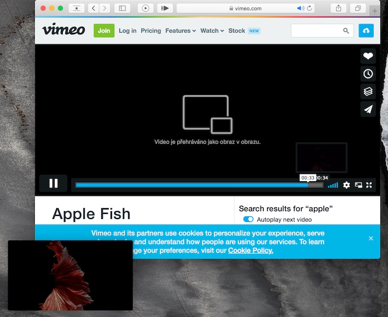 Safari Picture in Picture 1 Safari Picture in Picture 1