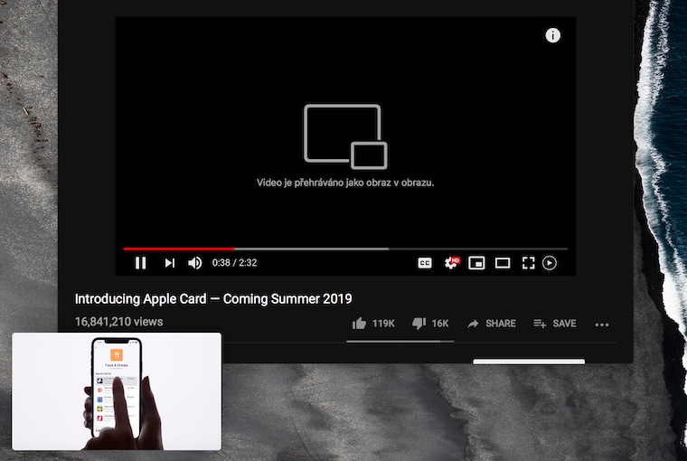 Safari Picture in Picture 3 Safari Picture in Picture 3