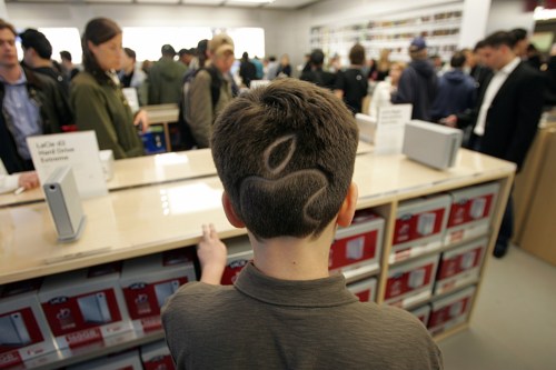 back-of-allens-head