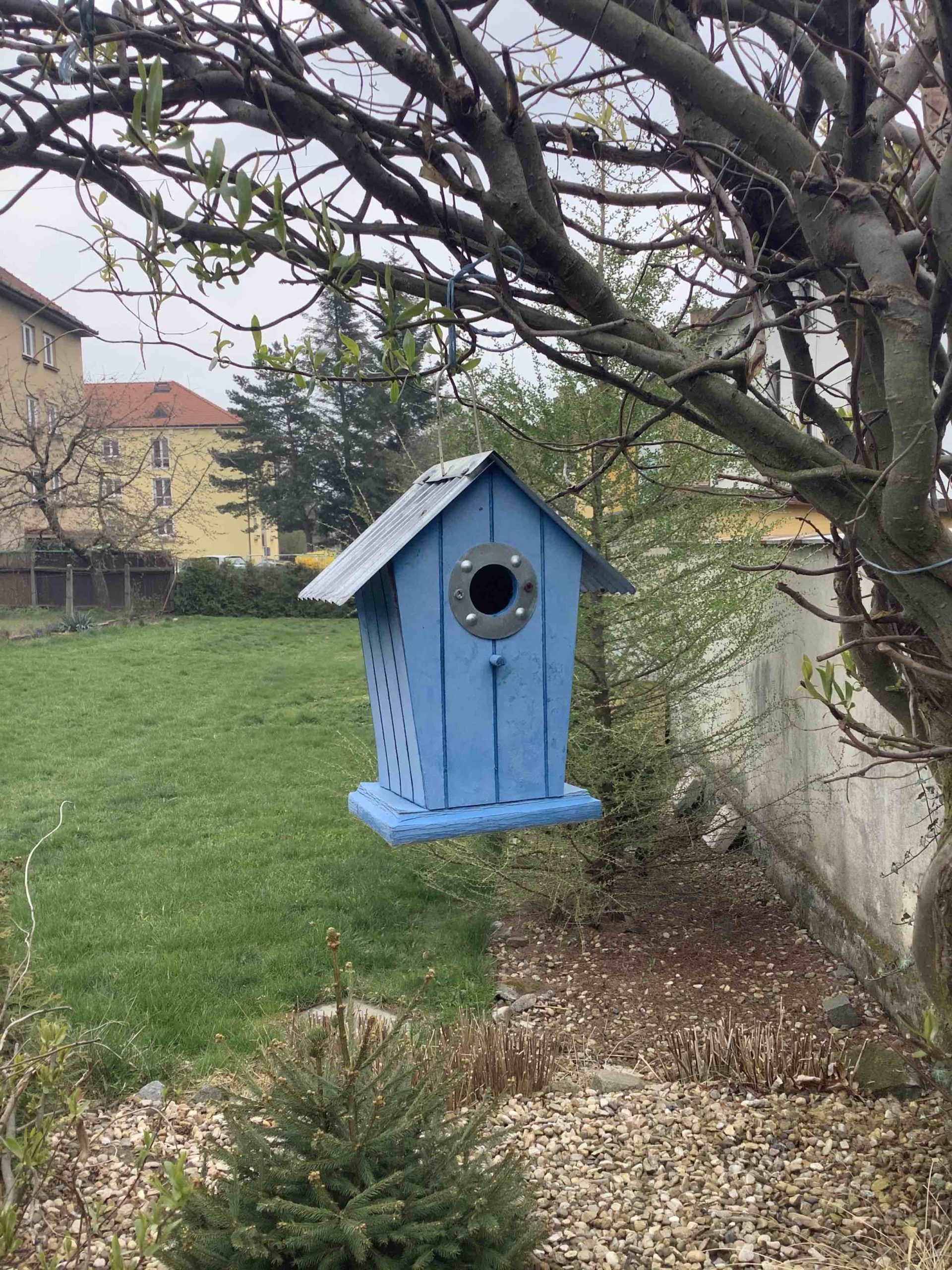 blue birdhouse in tree