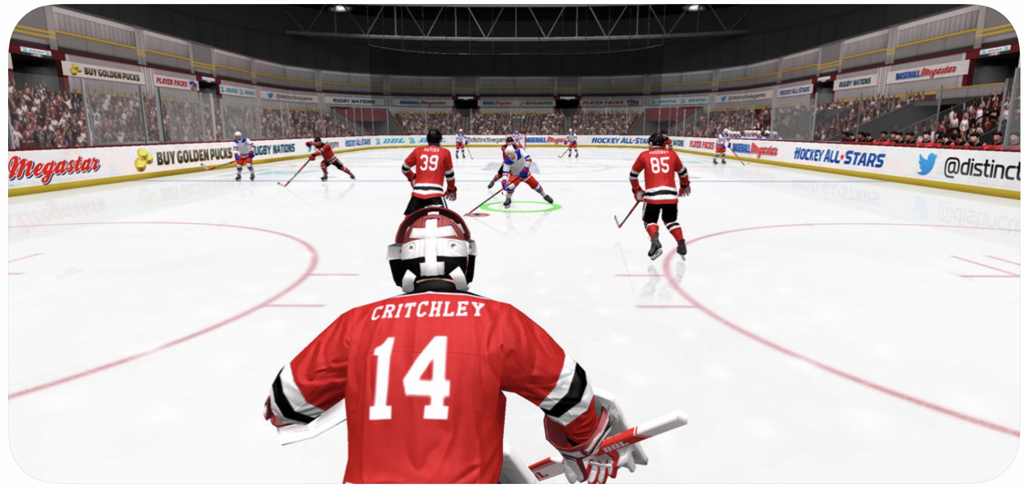 ice hockey goalie view