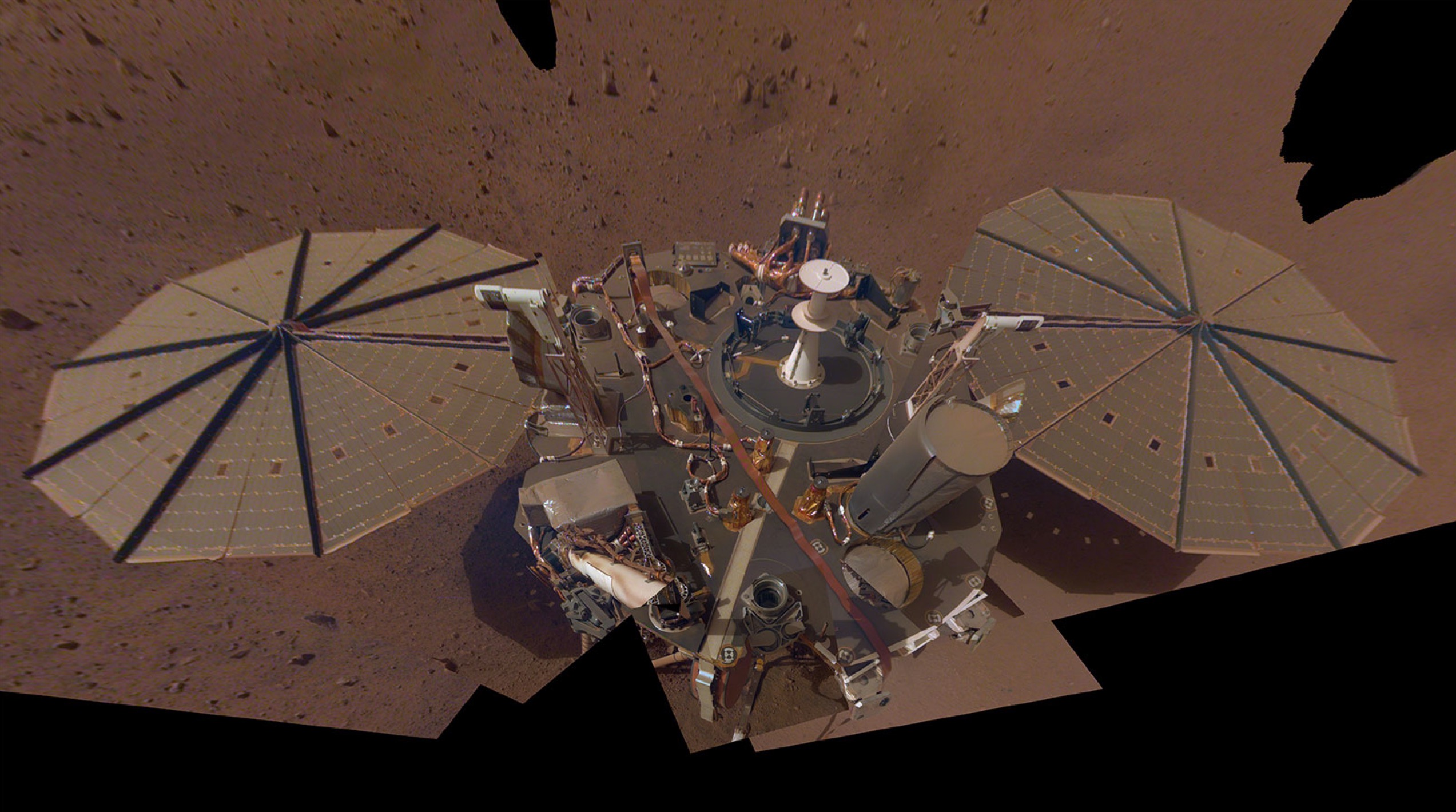 insight selfie