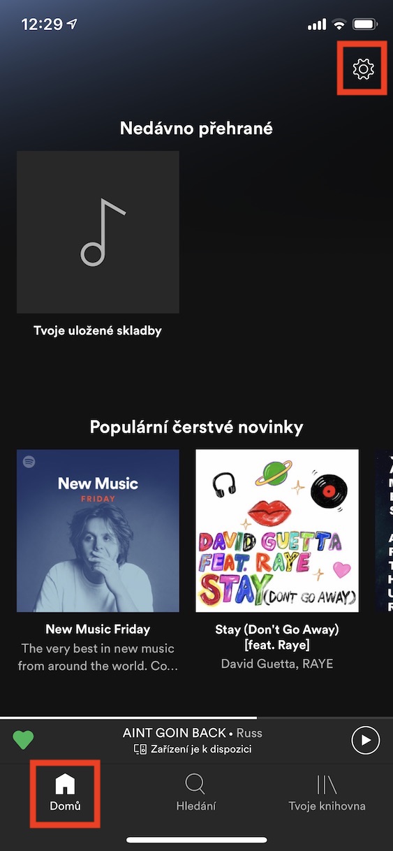 ios_spotify_mezipamet2 ios_spotify_mezipamet2