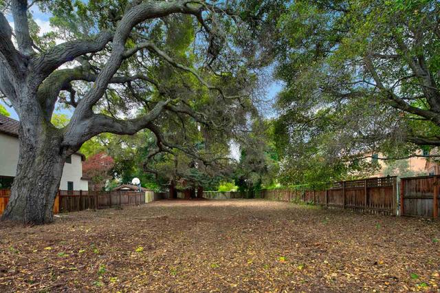 tree lined empty lot