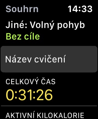watch exercise summary