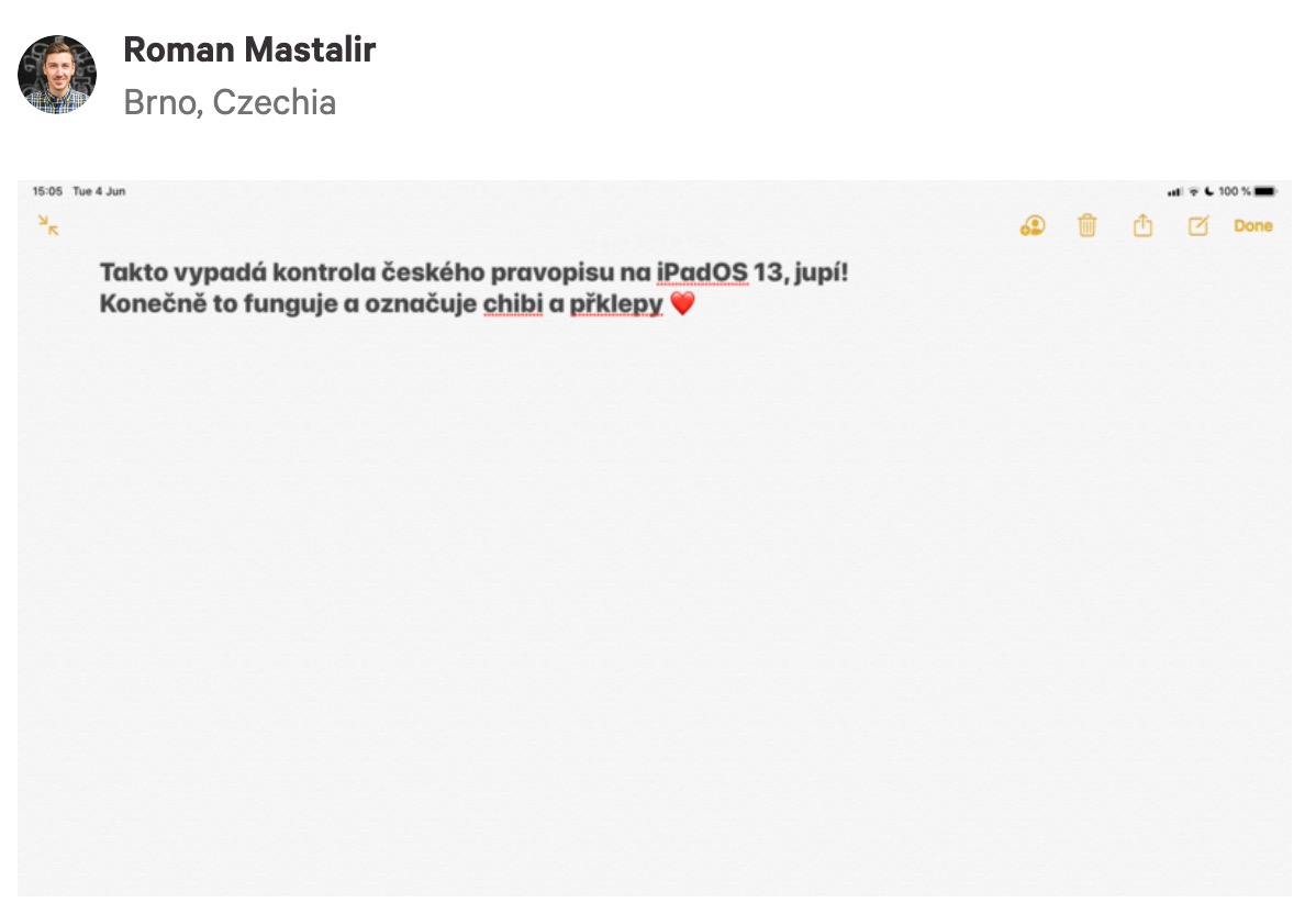 ipad text editor spellcheck