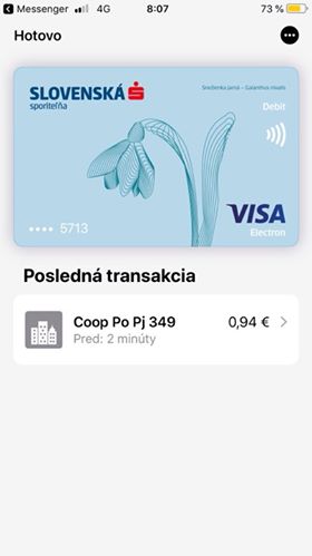 visa card transaction summary