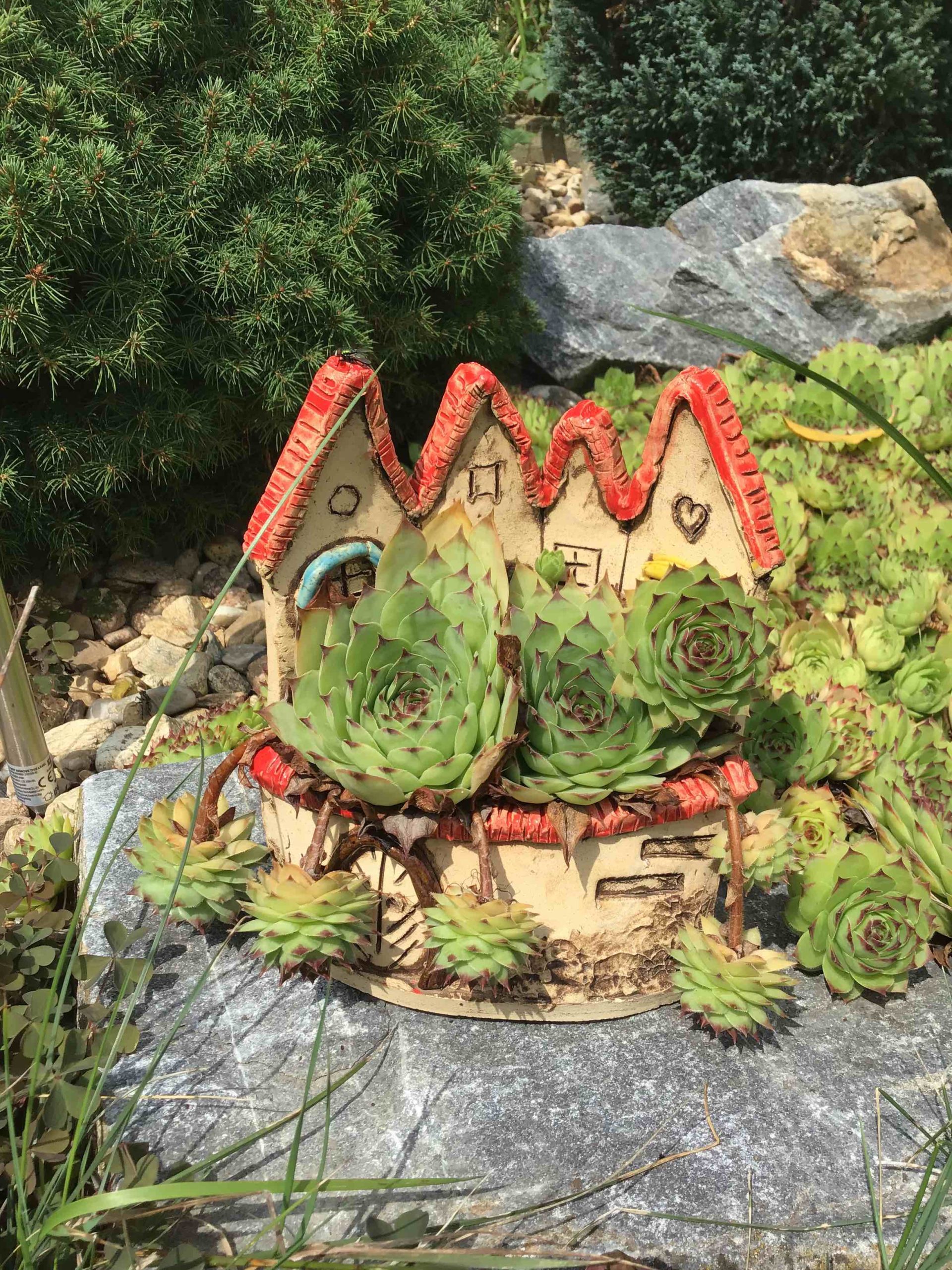 Foto z iPodu touch (2019)