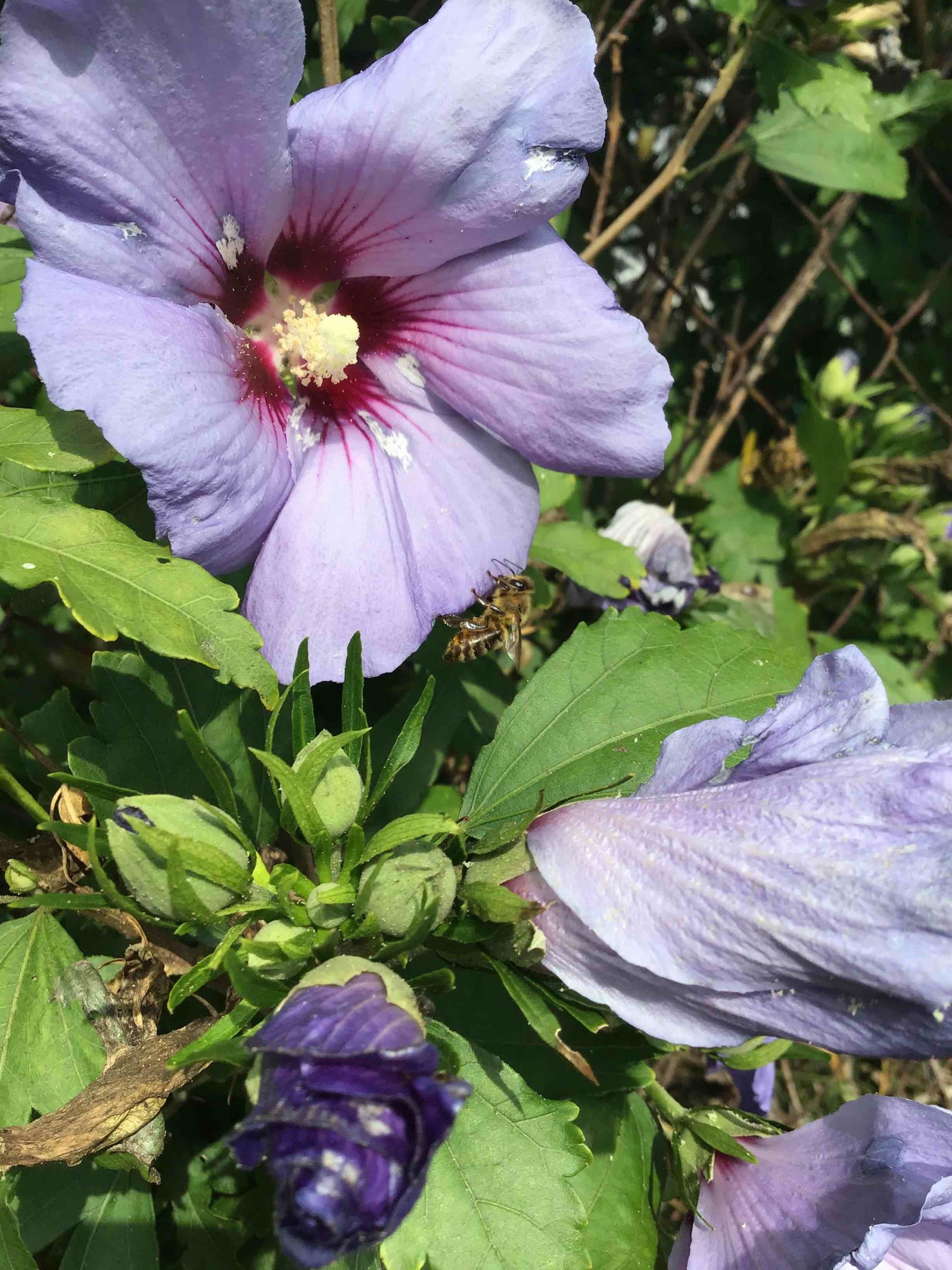 Foto z iPodu touch (2019)