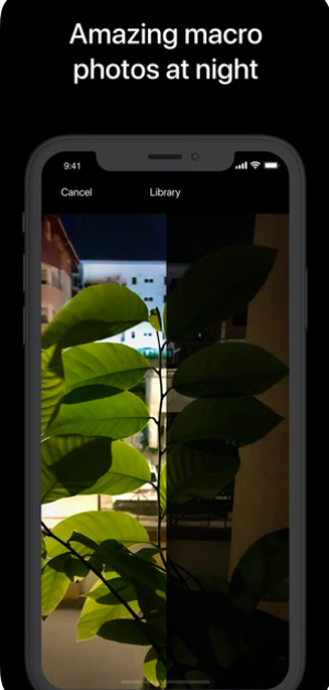 macro photo night leaves