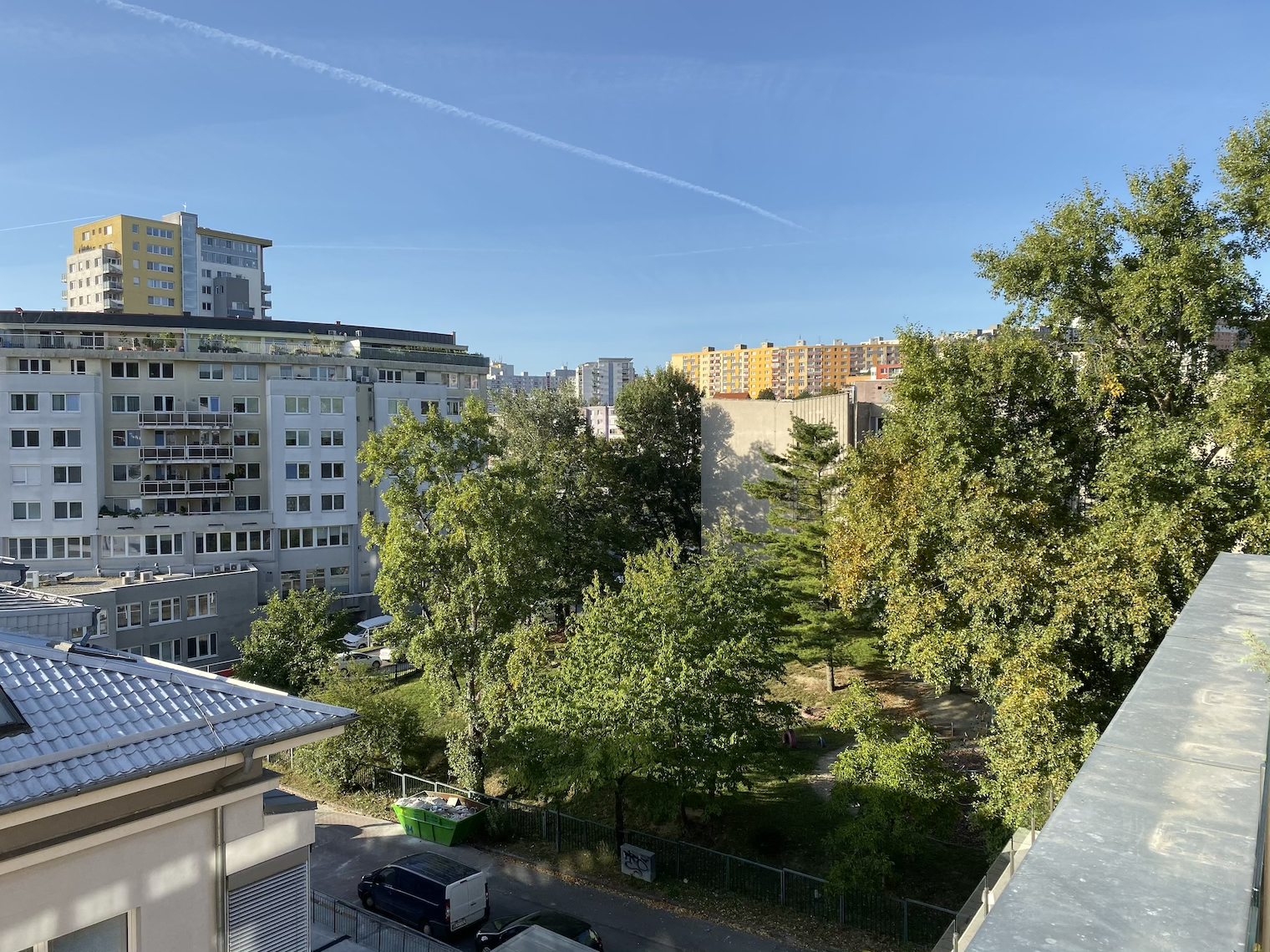 cityscape buildings trees