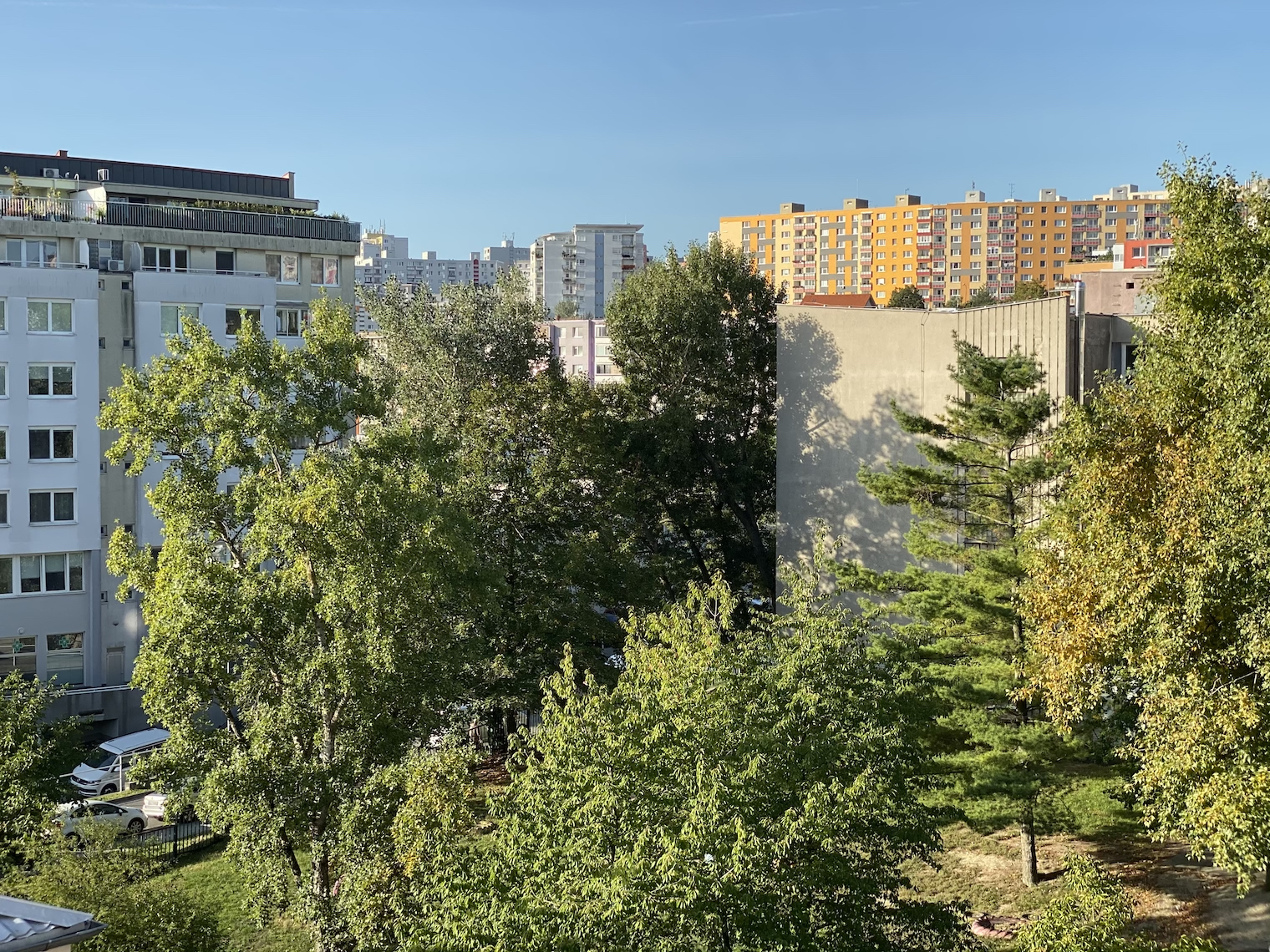 cityscape trees buildings