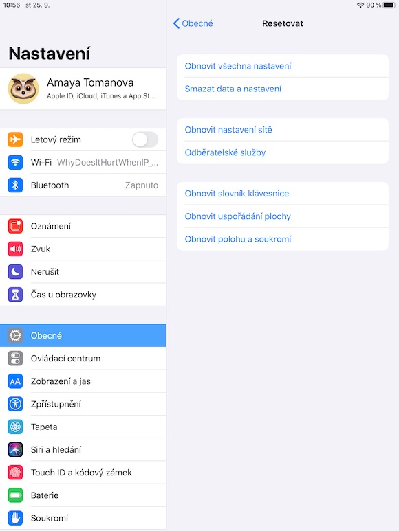 ipad settings reset options