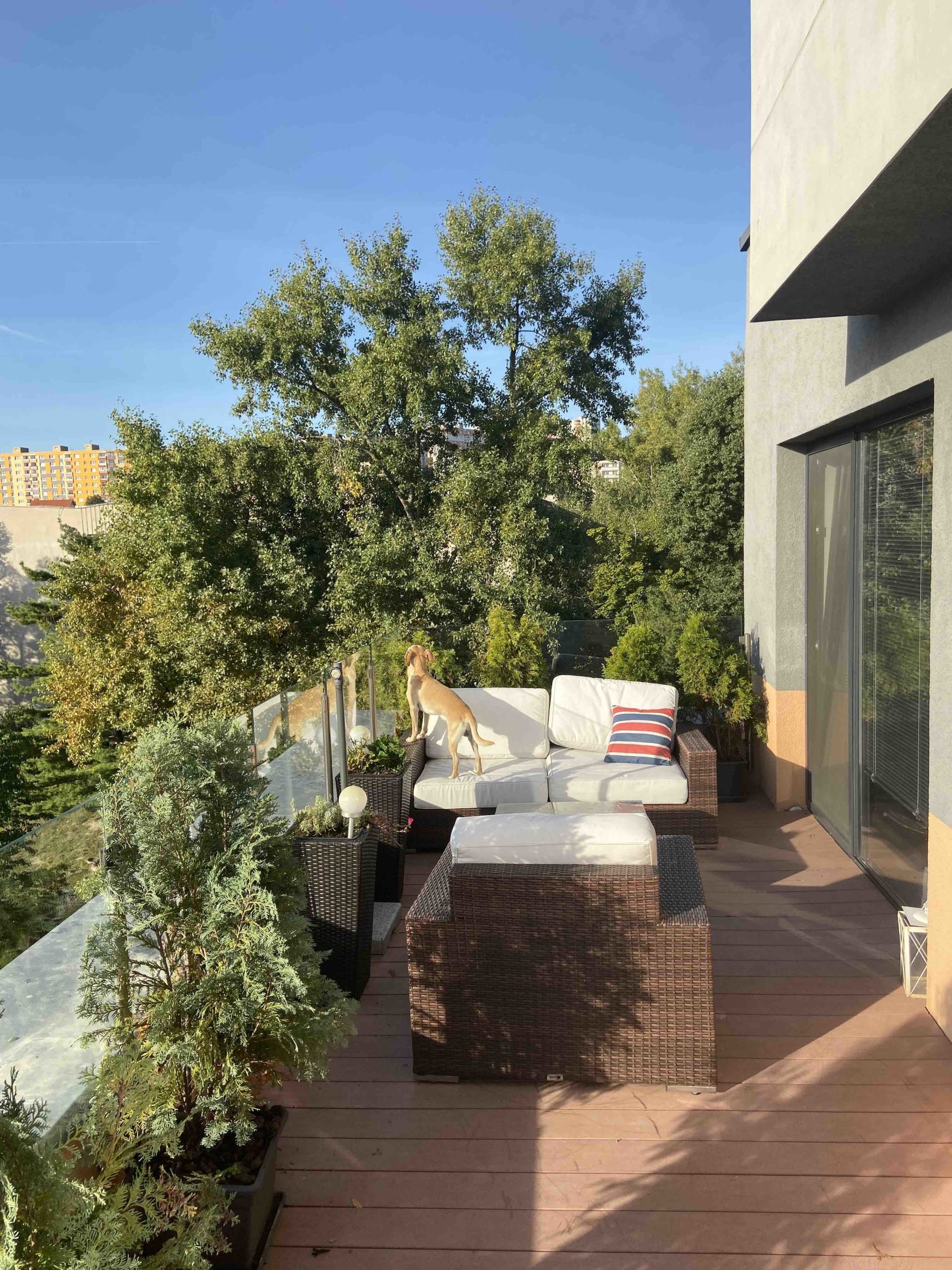 Fotka z iPhonu 11 na sirokouhly objektiv