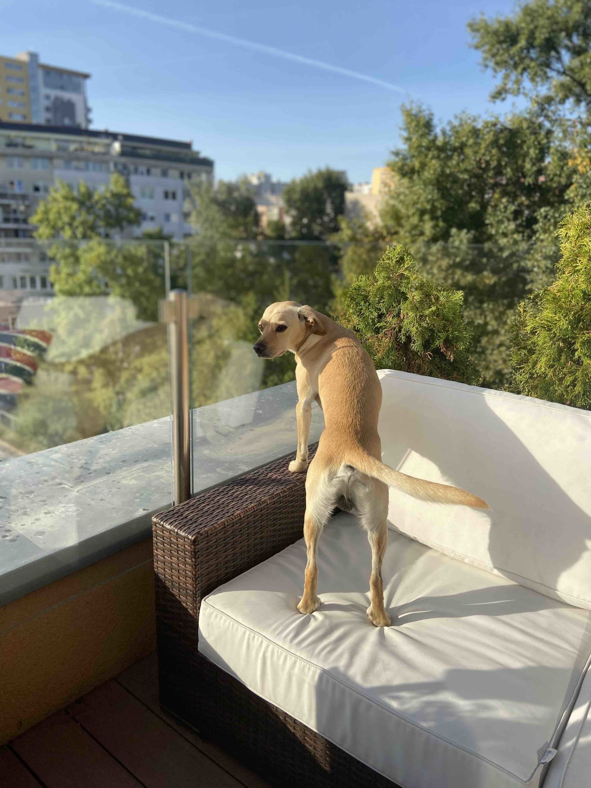 Fotka vyfocena na portretni rezim iPhonu 11