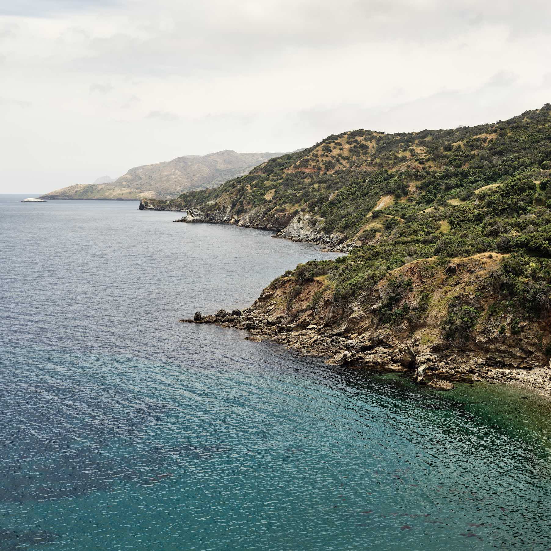 tapety_Catalina_beta_4