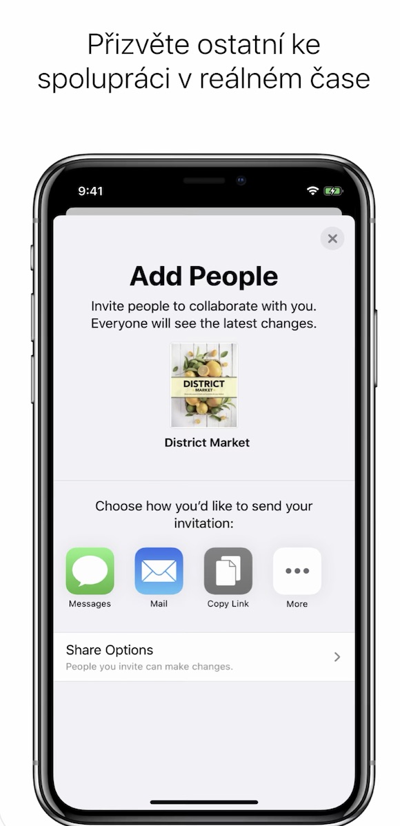 collaboration invite options