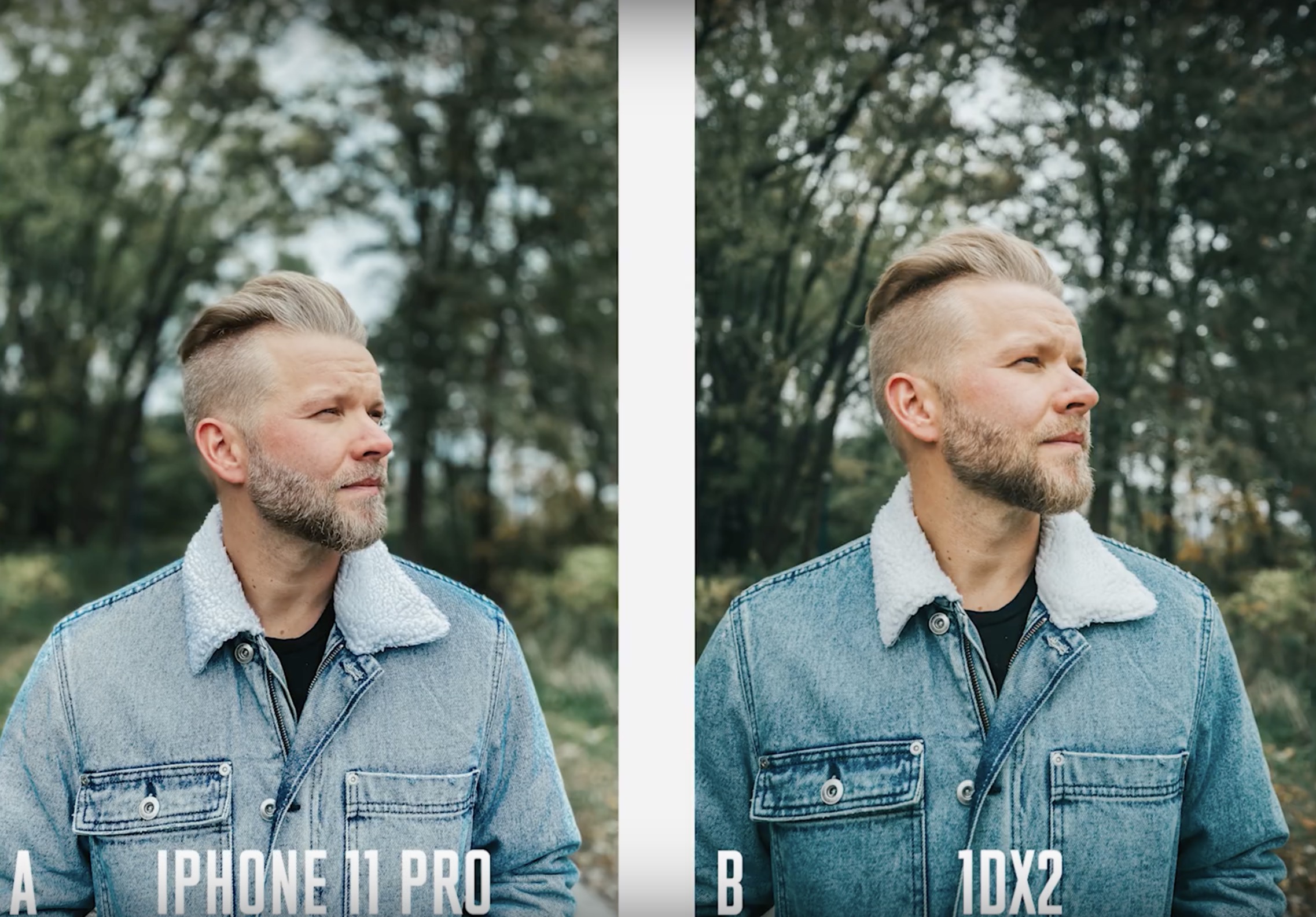 Сравнение камеры 11 pro. Сравнение фотографий. Айфон 11 снимки с камеры. Iphone 11 камера сравнение. Айфон vs Canon.