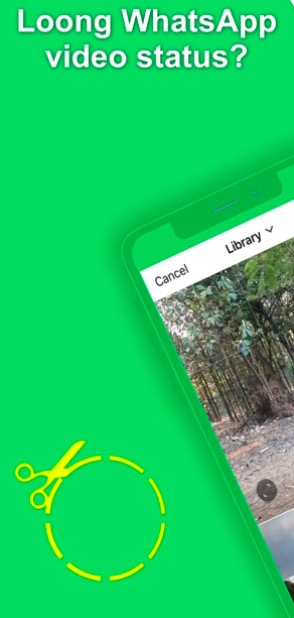 whatsapp video status