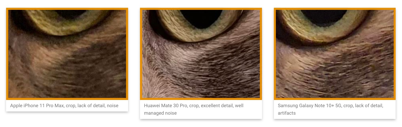 smartphone camera comparison cat crop