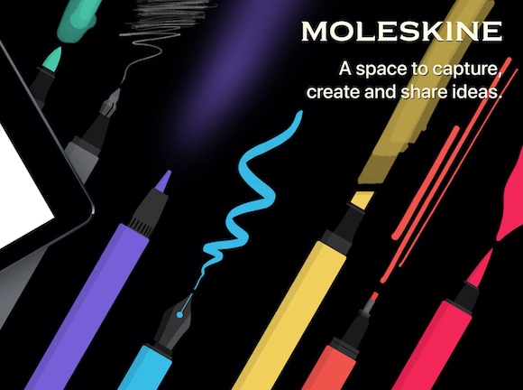 Flow by Moleskine iPadOS Screenshot 7