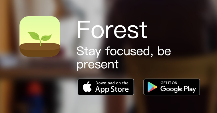 forest fb