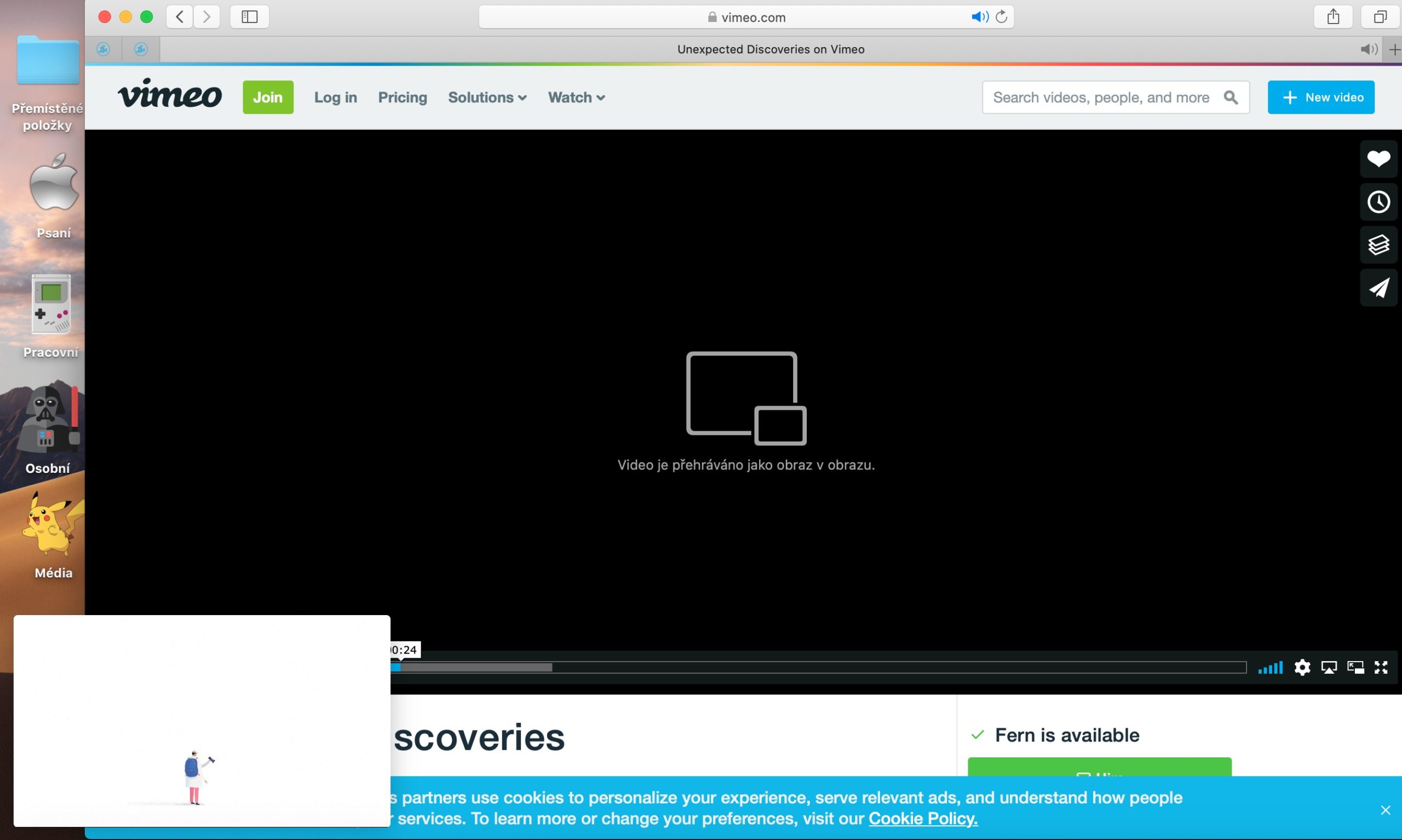 Safari obraz v obraze