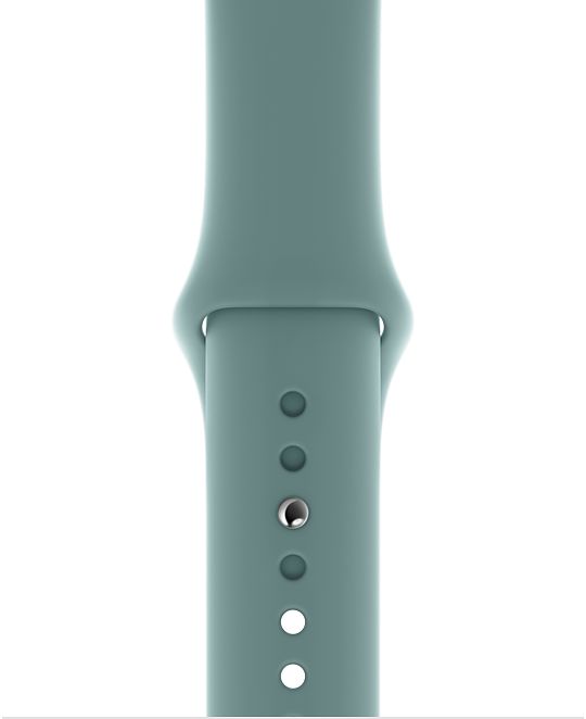 apple watch spring band12 Apple Watch Band