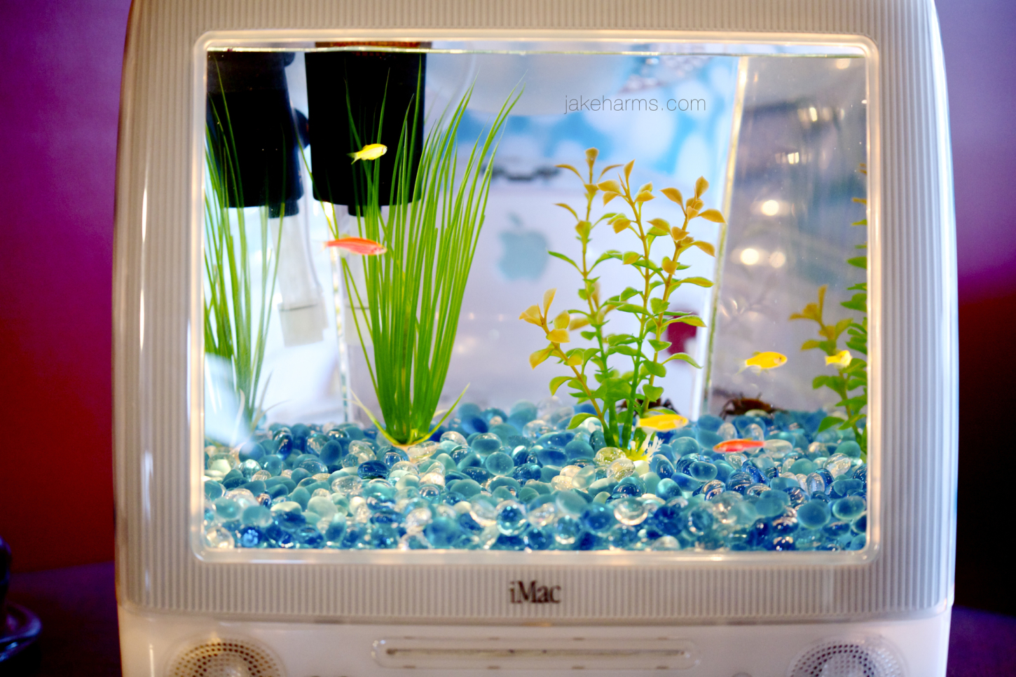 iMacquarium 3 iMac akvárium