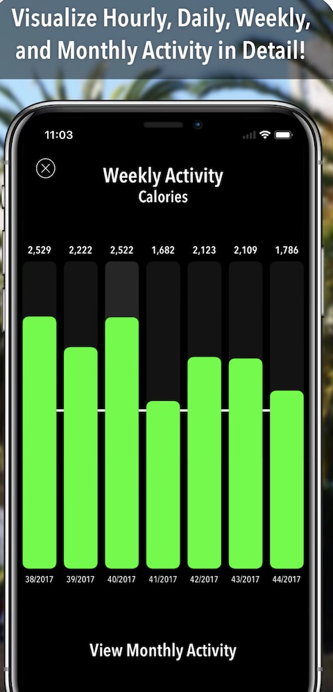 ActivityTracker Pedometer iOS 1 ActivityTracker Pedometer iOS