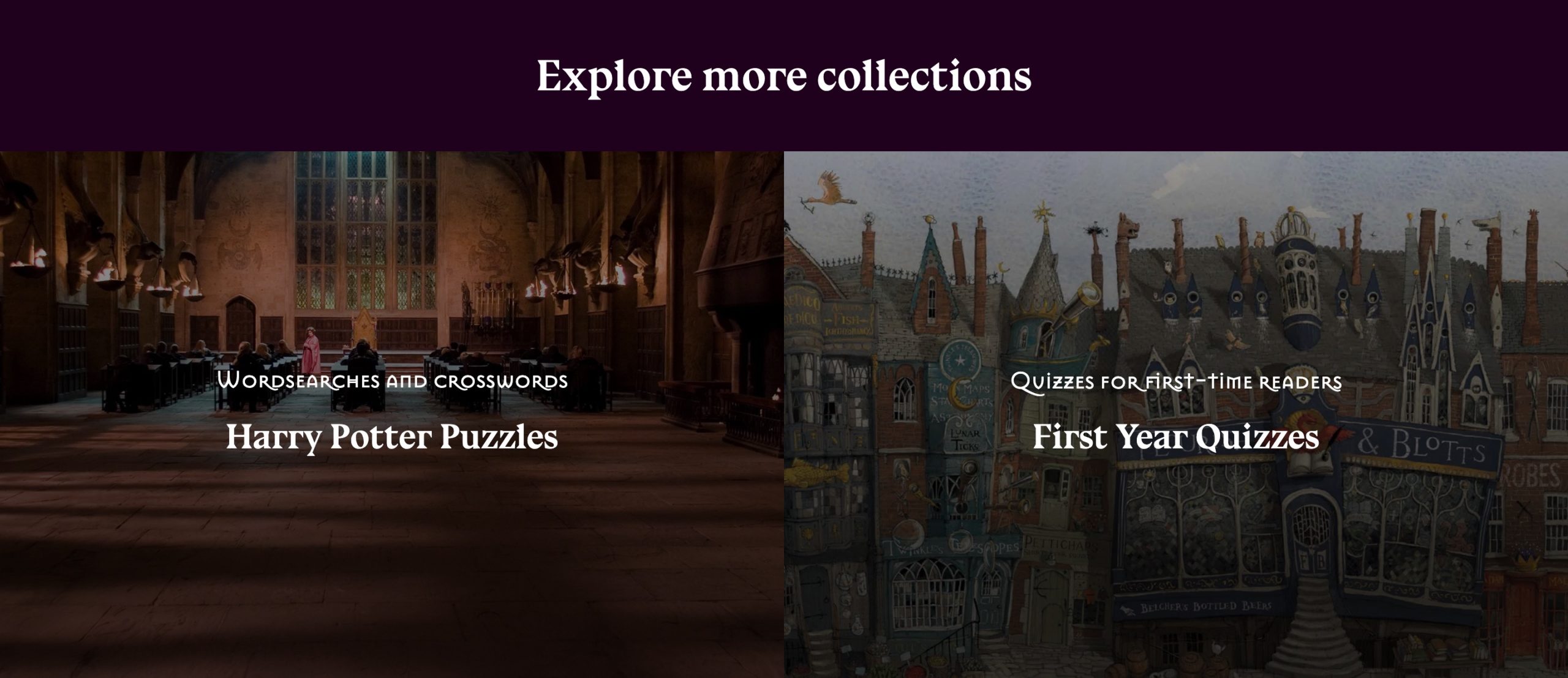 Harry Potter at Home