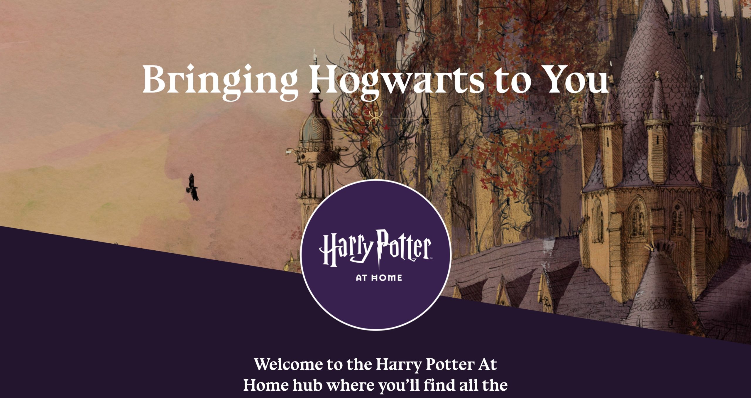 Harry Potter at Home