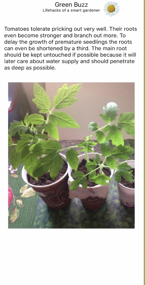 Veggie Grower iOS 4 Veggie Grower iOS
