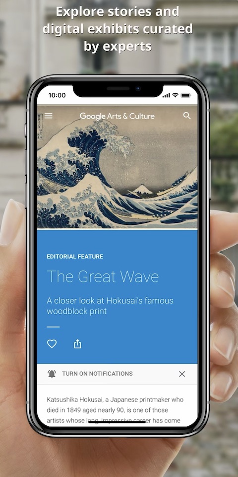 Google Arts & Culture iOS 7 Google Arts & Culture iOS