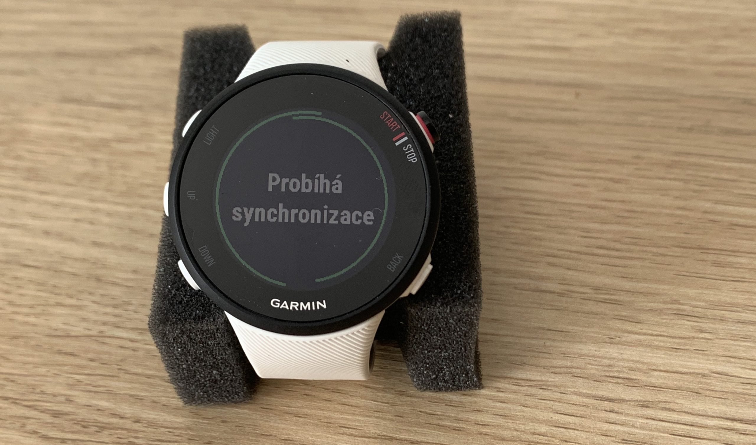 Garmin Forerunner 45