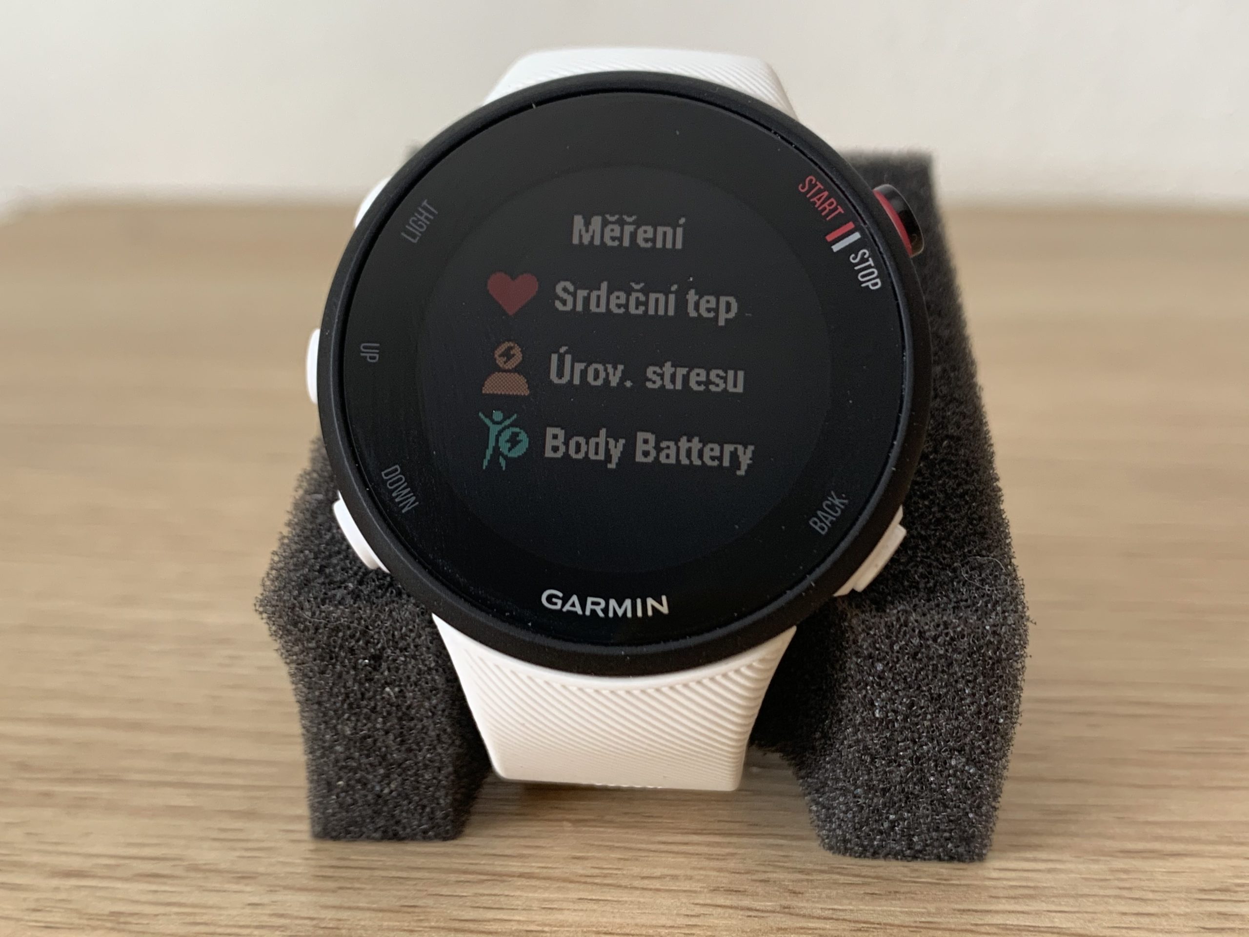 Garmin Forerunner 45