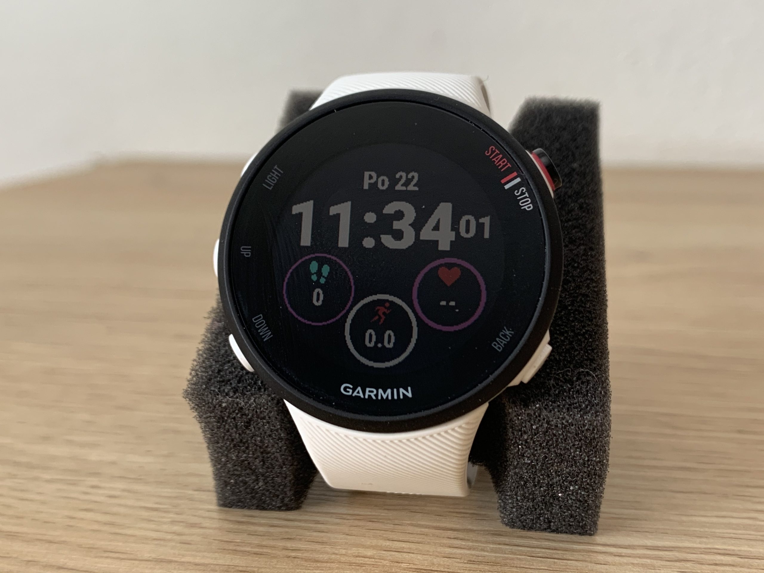 Garmin Forerunner 45