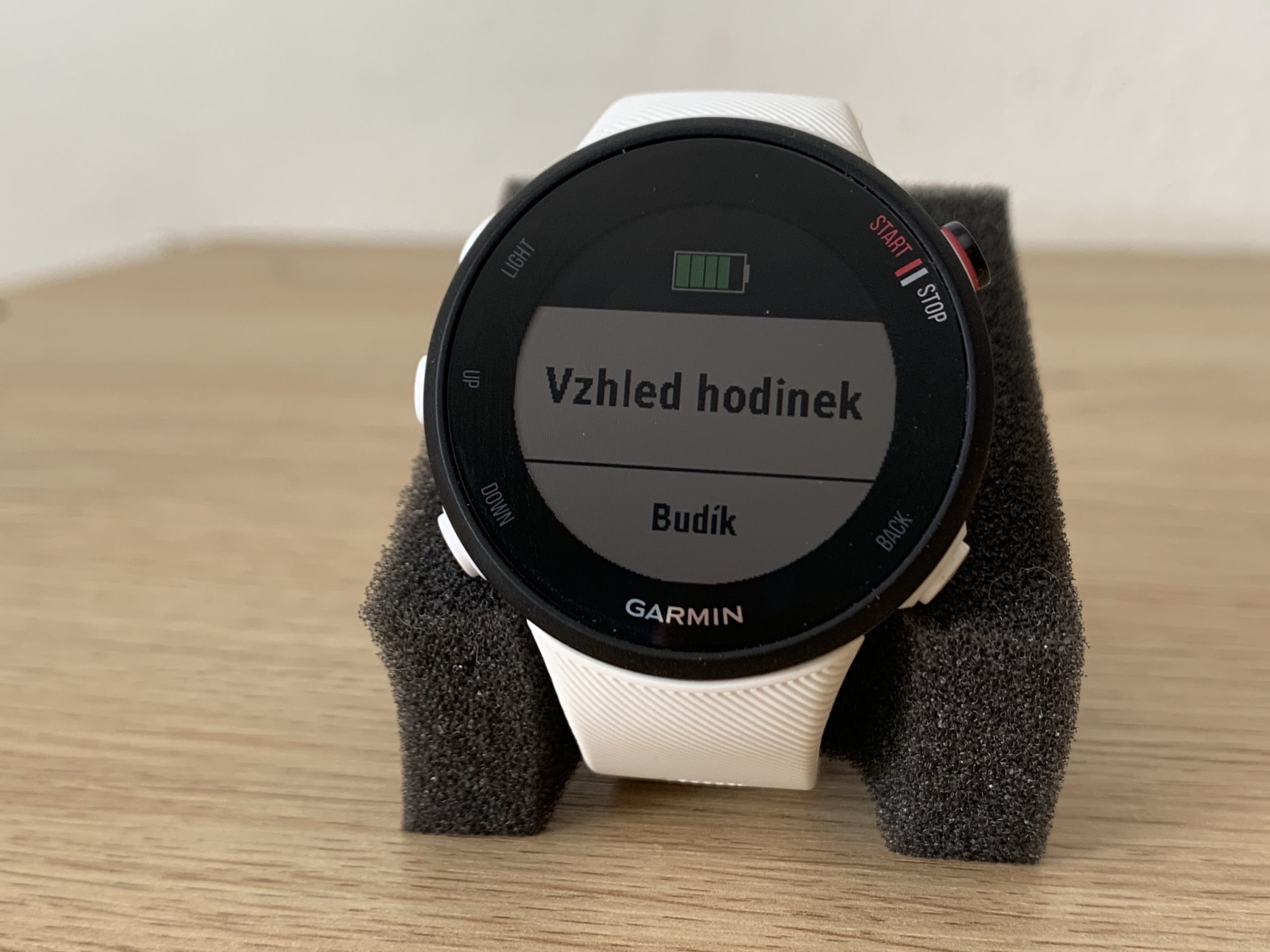Garmin Forerunner 45