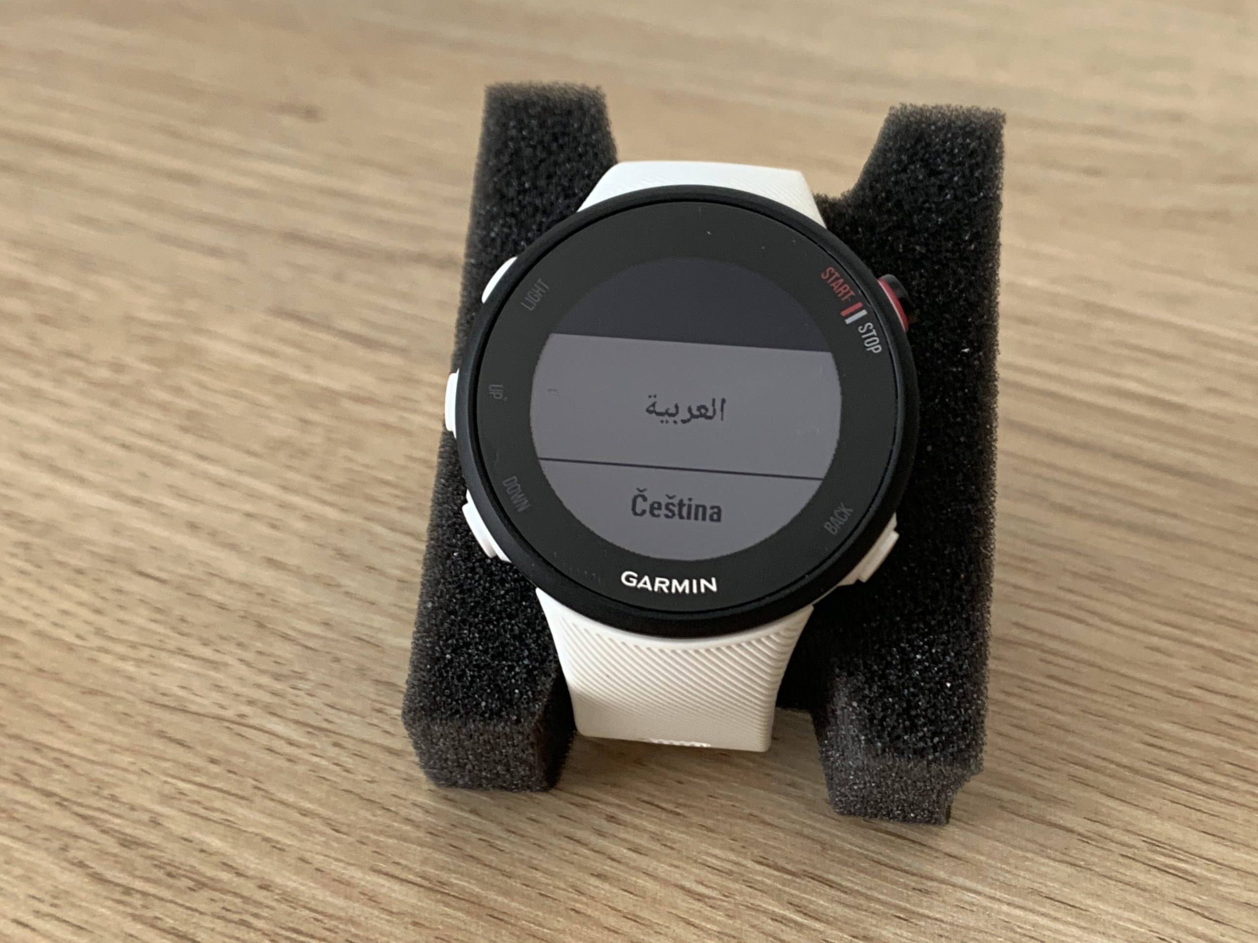 Garmin Forerunner 45