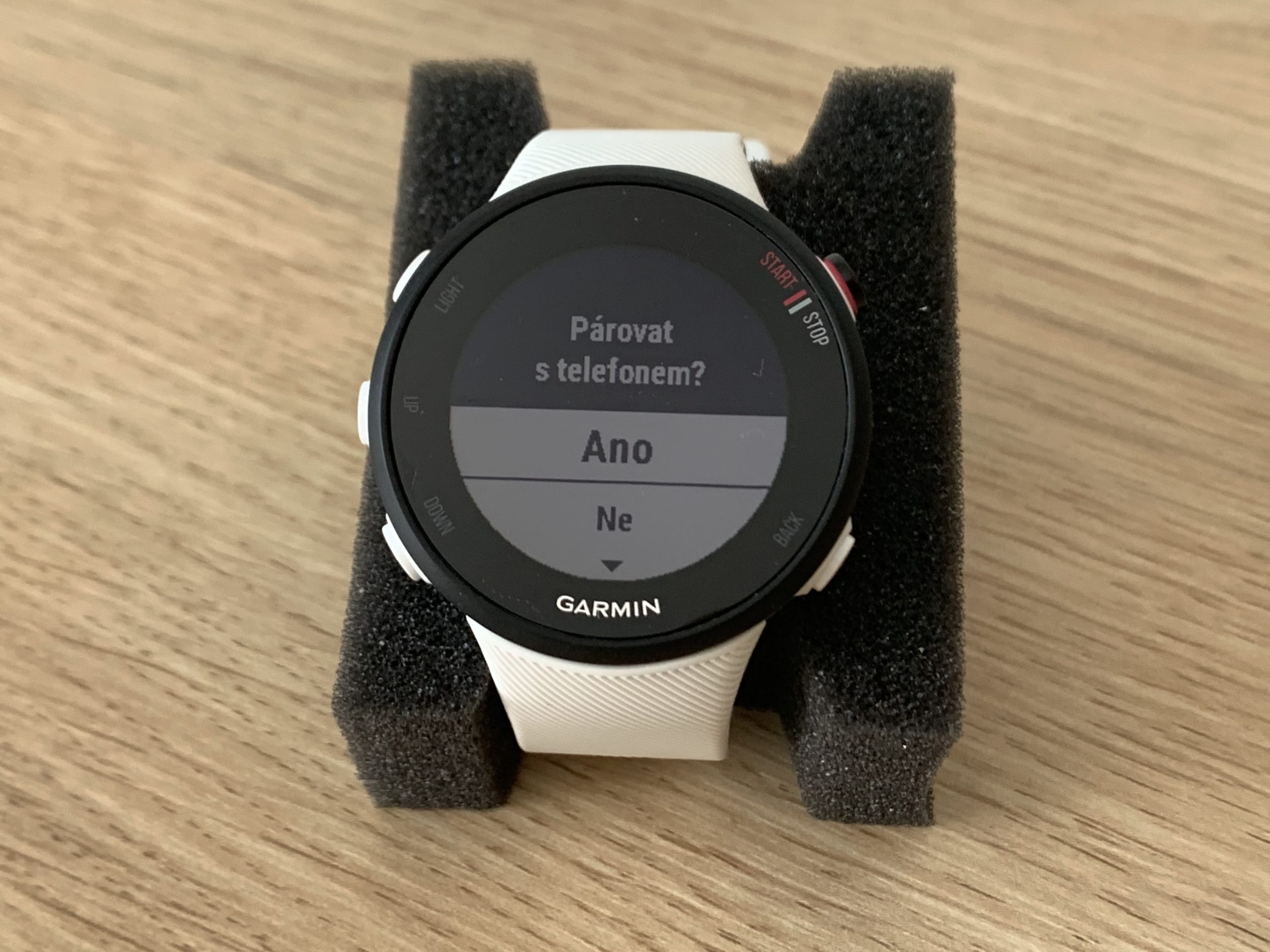 Garmin Forerunner 45