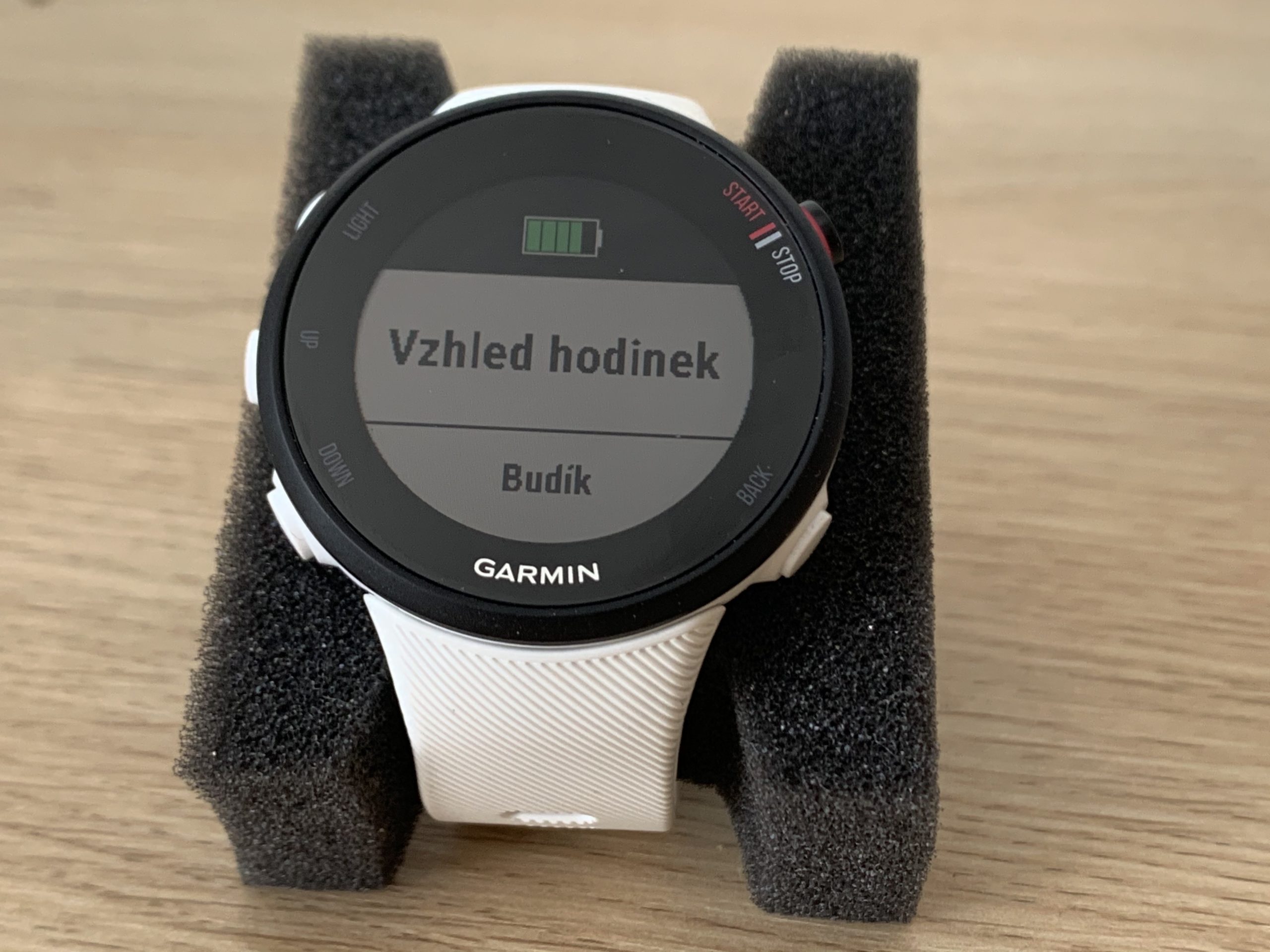 Garmin Forerunner 45