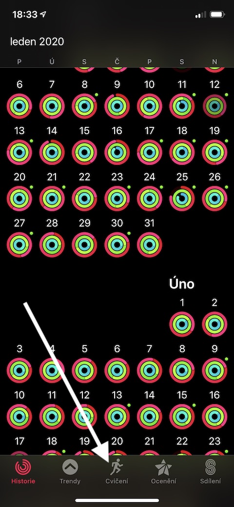 iOS Aktivita prehled cviceni 1 iOS Aktivita prehled cviceni