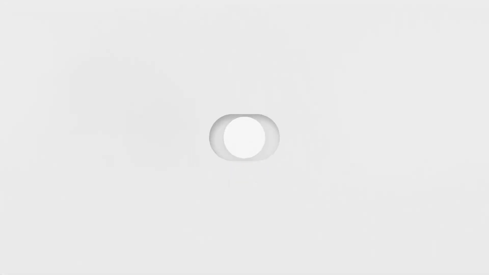 minimalist toggle switch