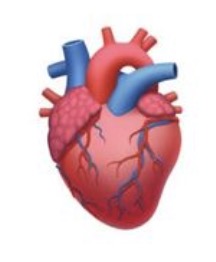 nové emoji z emoji 13