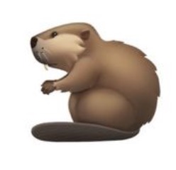 nové emoji z emoji 13