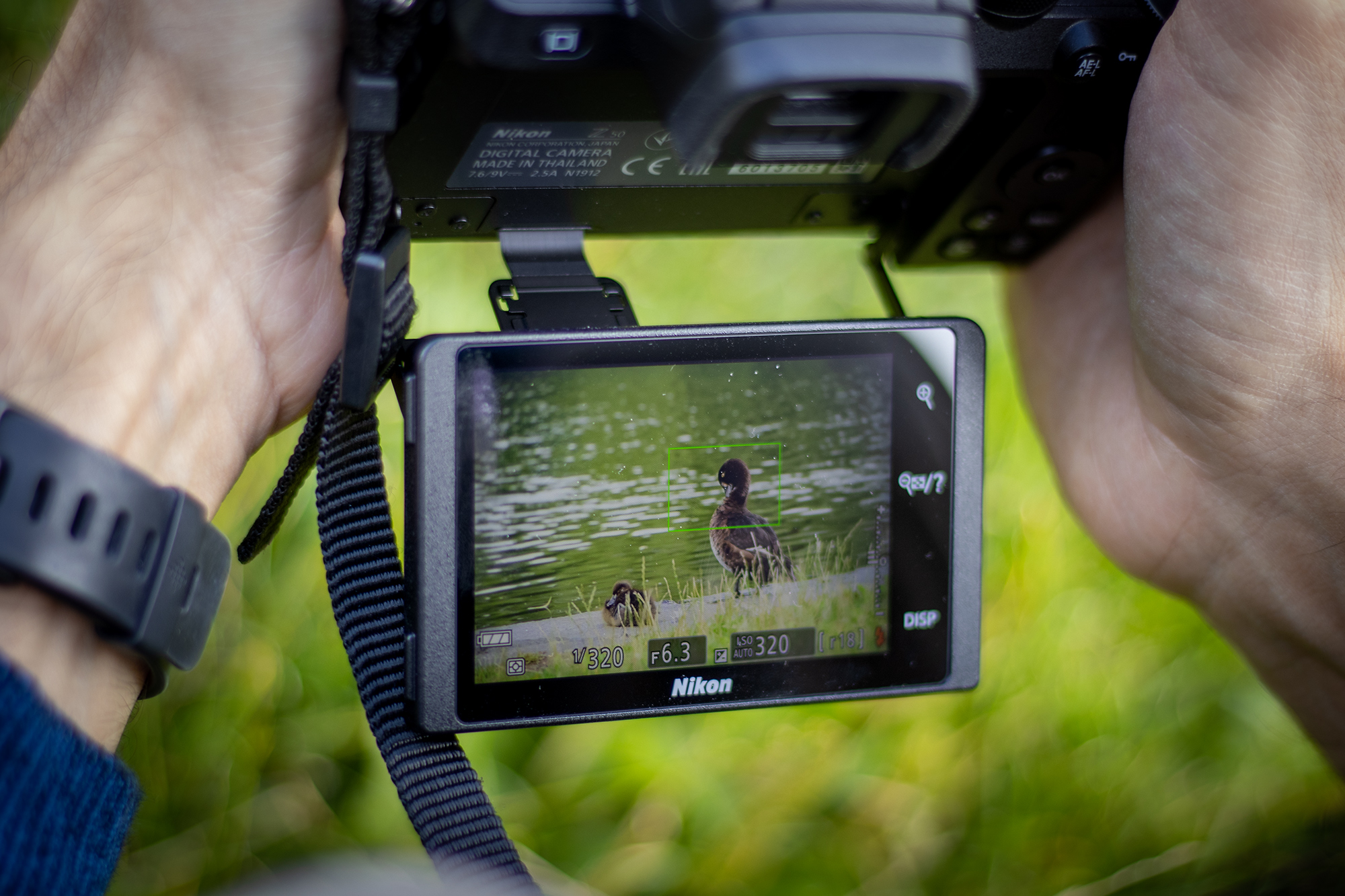 IMG 4343   backstage photo 2