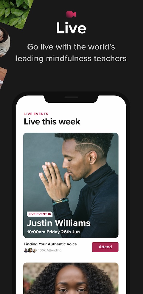 Insight Timer iOS 1 Insight Timer iOS